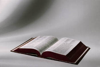 schatten11